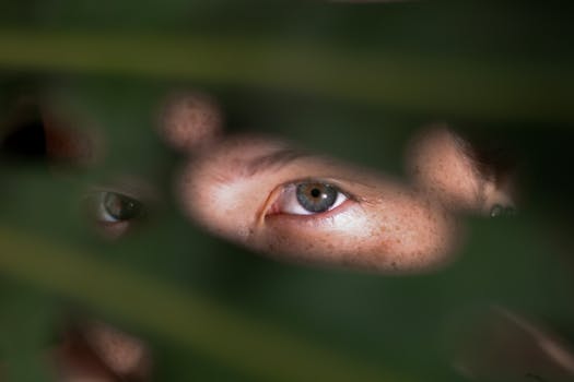 一张特写照片神秘地显示，眼睛正透过绿叶窥视