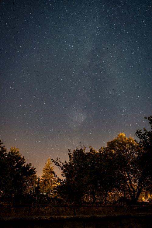 Free A captivating night sky filled with stars and constellations over a serene park landscape. Stock Photo