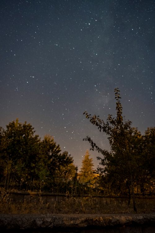 Free Star-filled night sky above silhouetted trees, showcasing natural beauty. Stock Photo