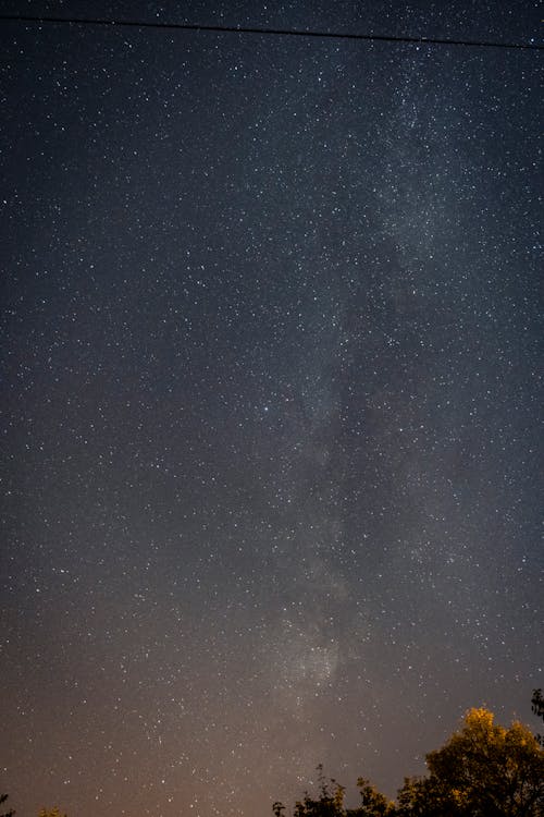 View of a Starry Night Sky 