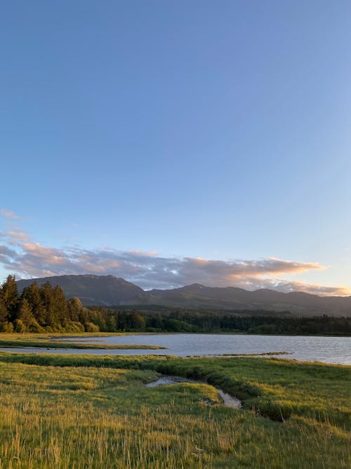 Immagine gratuita di catena montuosa, estate, foresta