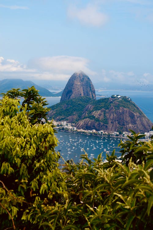 Gratis arkivbilde med brasil, guanabara bay, hav