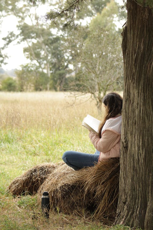 Kostenloses Stock Foto zu außerorts, bäume, buch