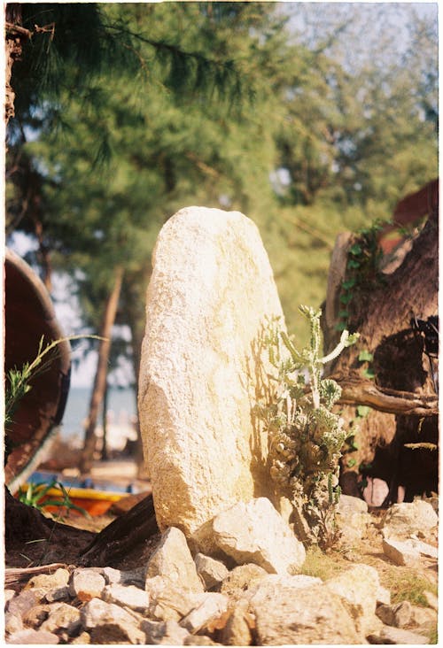 Sunlit Rock and Stones