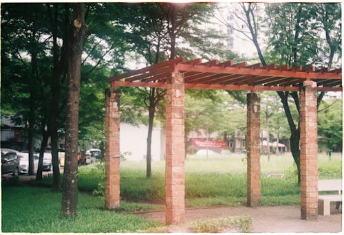 Installation near Trees in Park