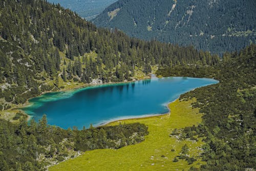 Foto profissional grátis de árvores, cenário, ecológico