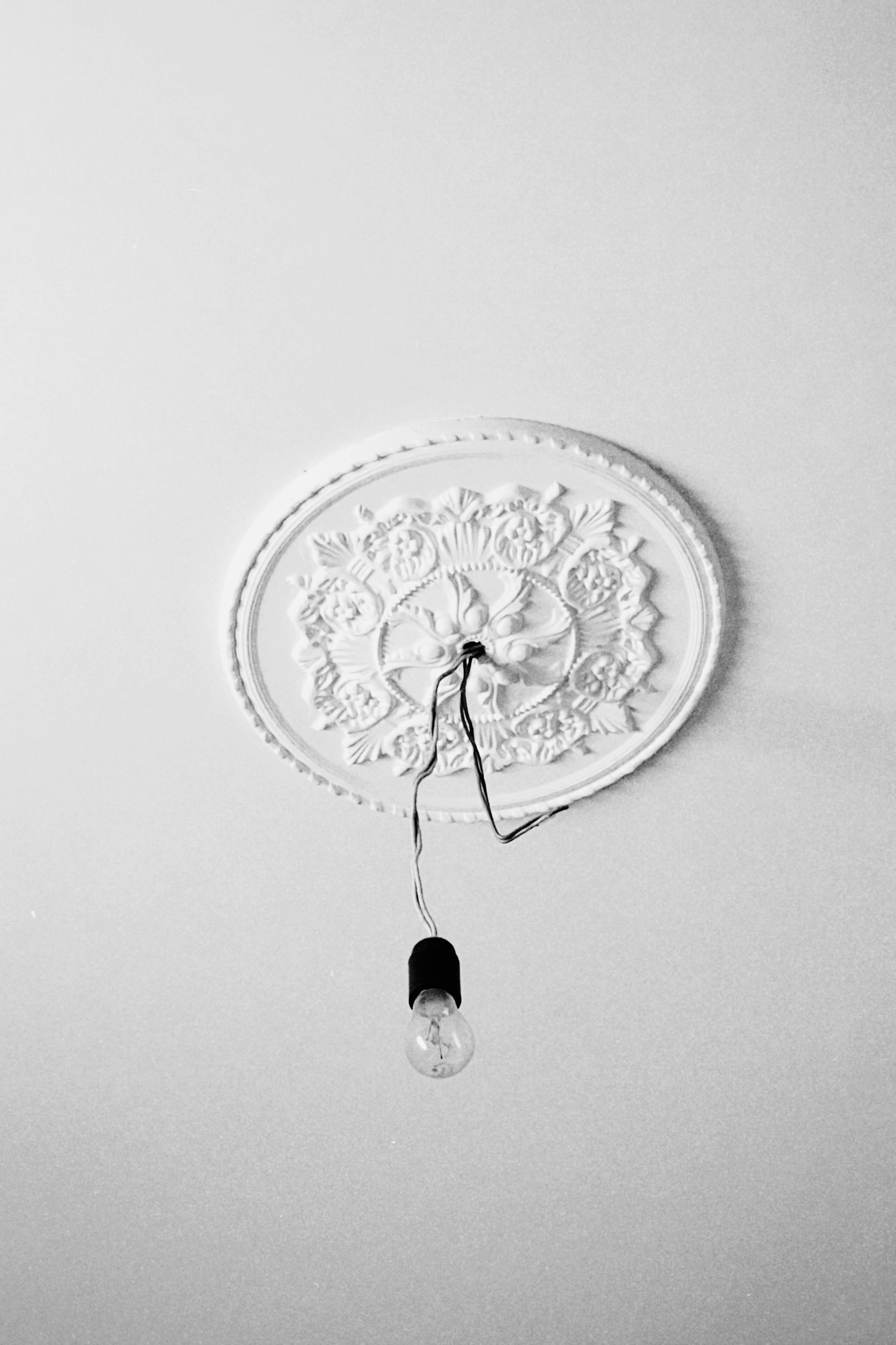 Ceiling 2d photos download the best free ceiling 2d stock photos hd