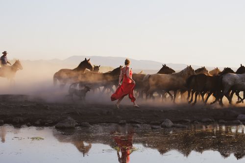Free A woman in a red dress runs alongside a herd of horses in a dusty rural landscape at sunset. Stock Photo