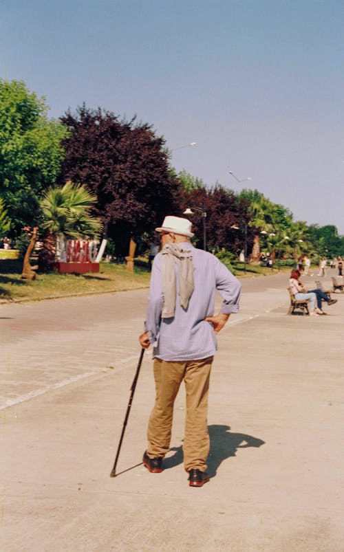 Imagine de stoc gratuită din arbore, cămașă albastră, film