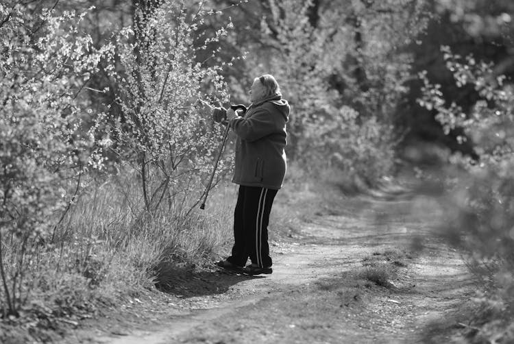 Elderly Woman On A Path Among Trees In Black And White