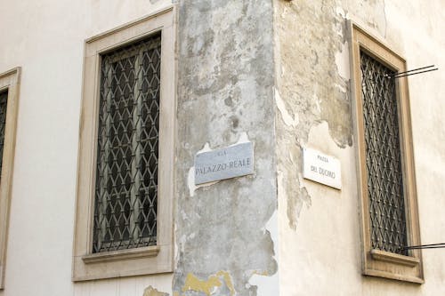 イタリア, プランツ, ミラノの無料の写真素材