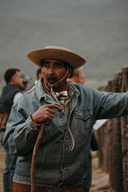 남자, 노인, 농촌의의 무료 스톡 사진