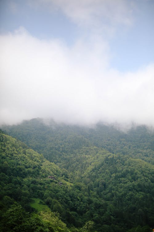 垂直拍攝, 天性, 山谷 的 免費圖庫相片