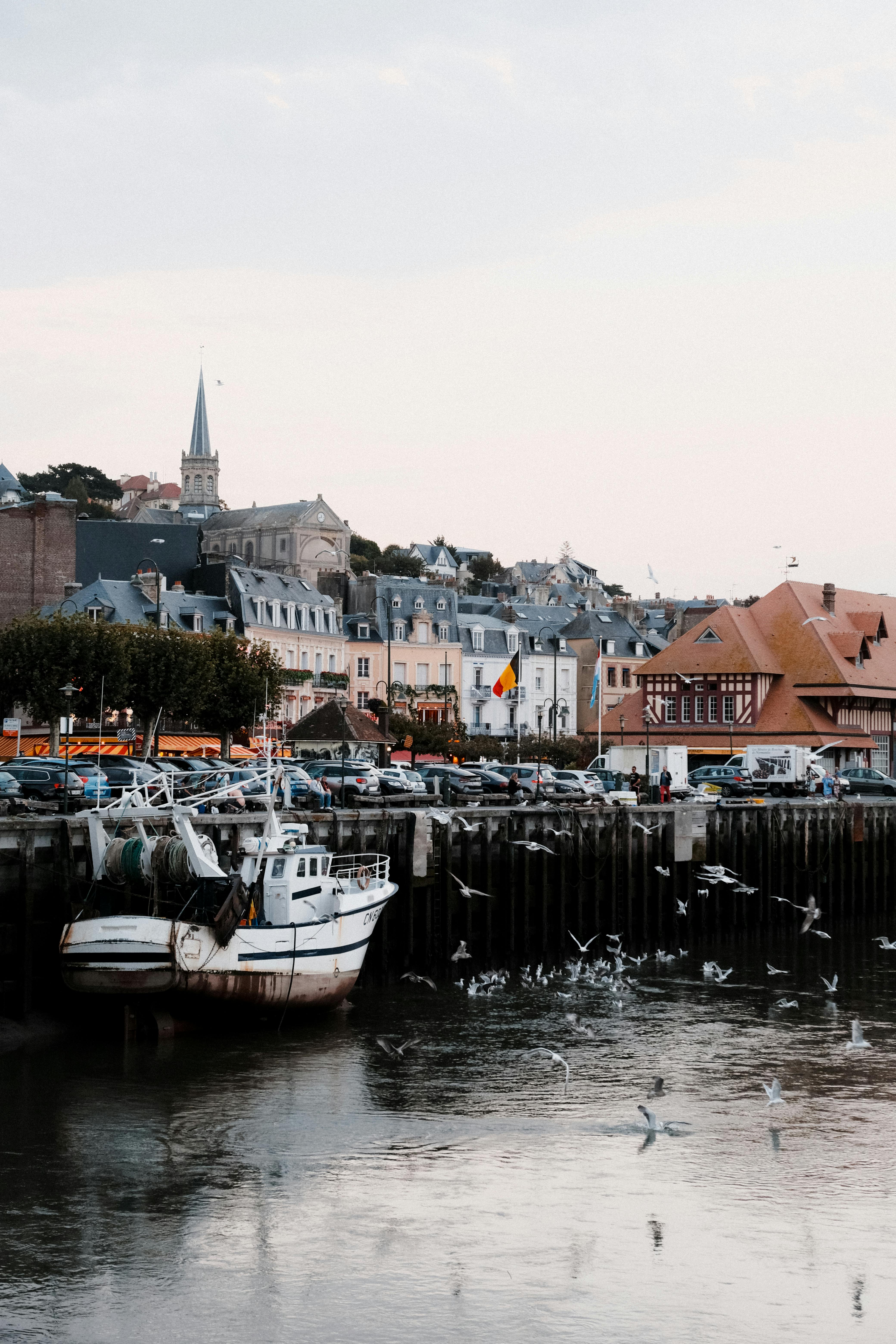A picturesque harbor scene in Trouville Alliquerville, Normandie, showcasing boats and a charming townscape.