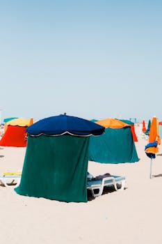 Vibrant beach umbrellas and loungers on a sunny sandy beach, perfect for a summer vacation vibe.