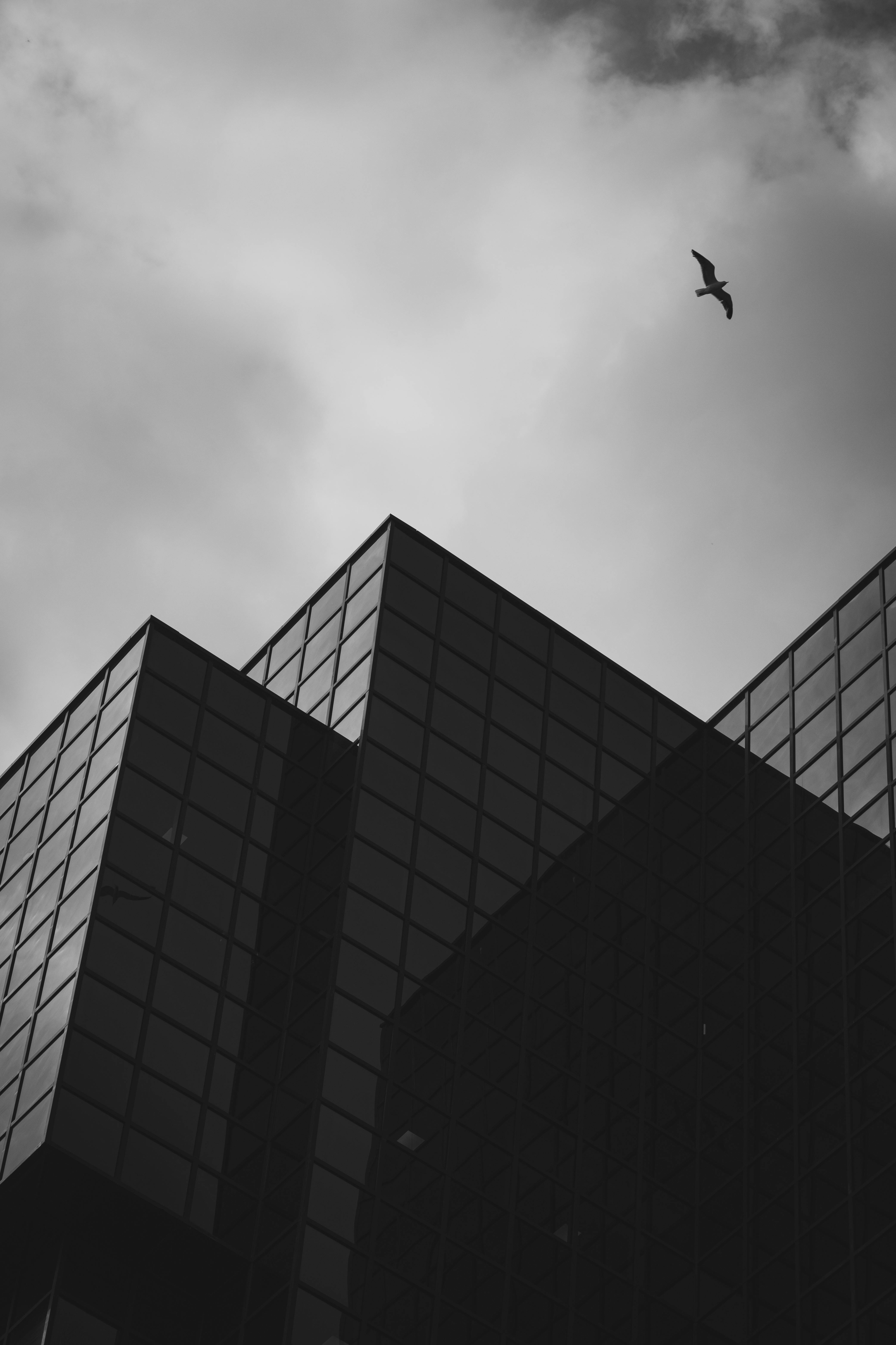 A bird soars above a modern skyscraper under a cloudy sky in London, UK.