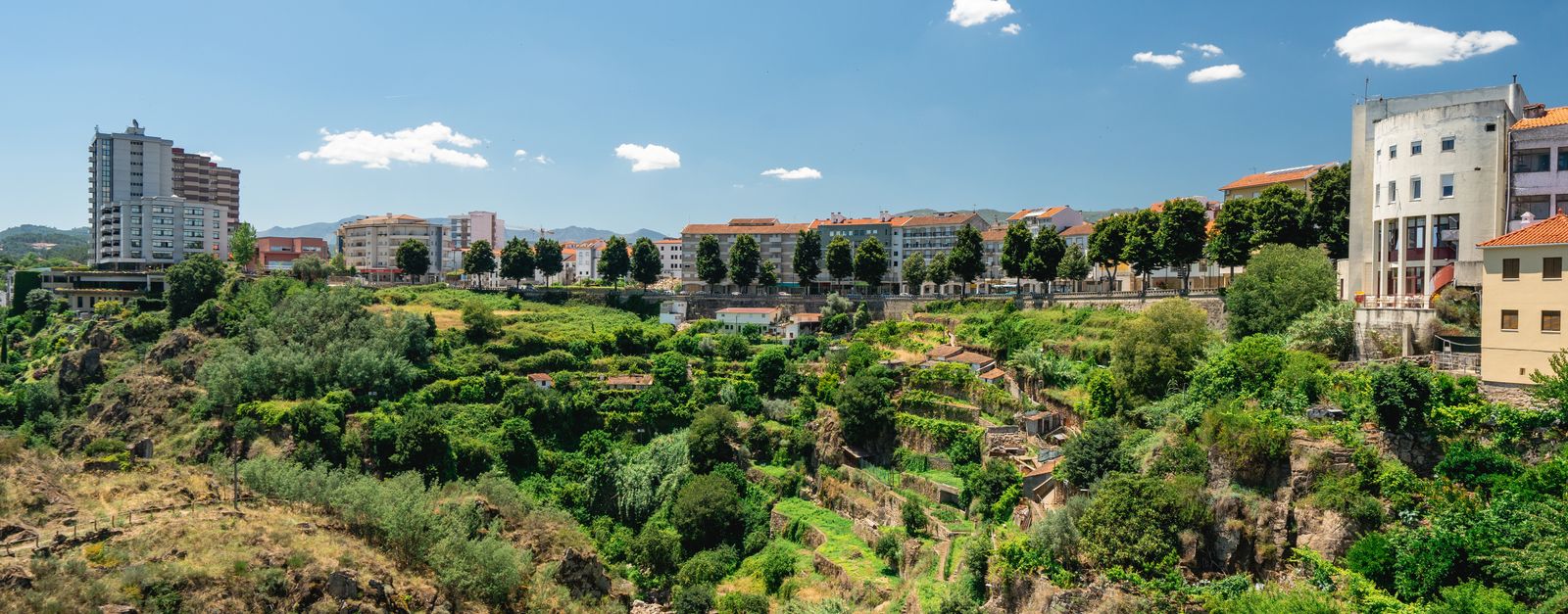 Bright summer view of Vila Real, Portugal, showcasing lush greenery against urban architecture and blue skies.