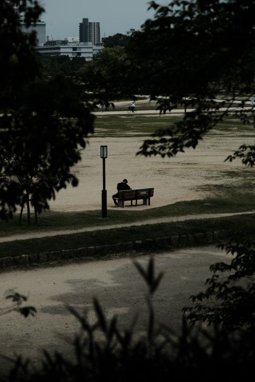 Free A lone person sits on a park bench surrounded by trees and urban landscape at dusk. Stock Photo