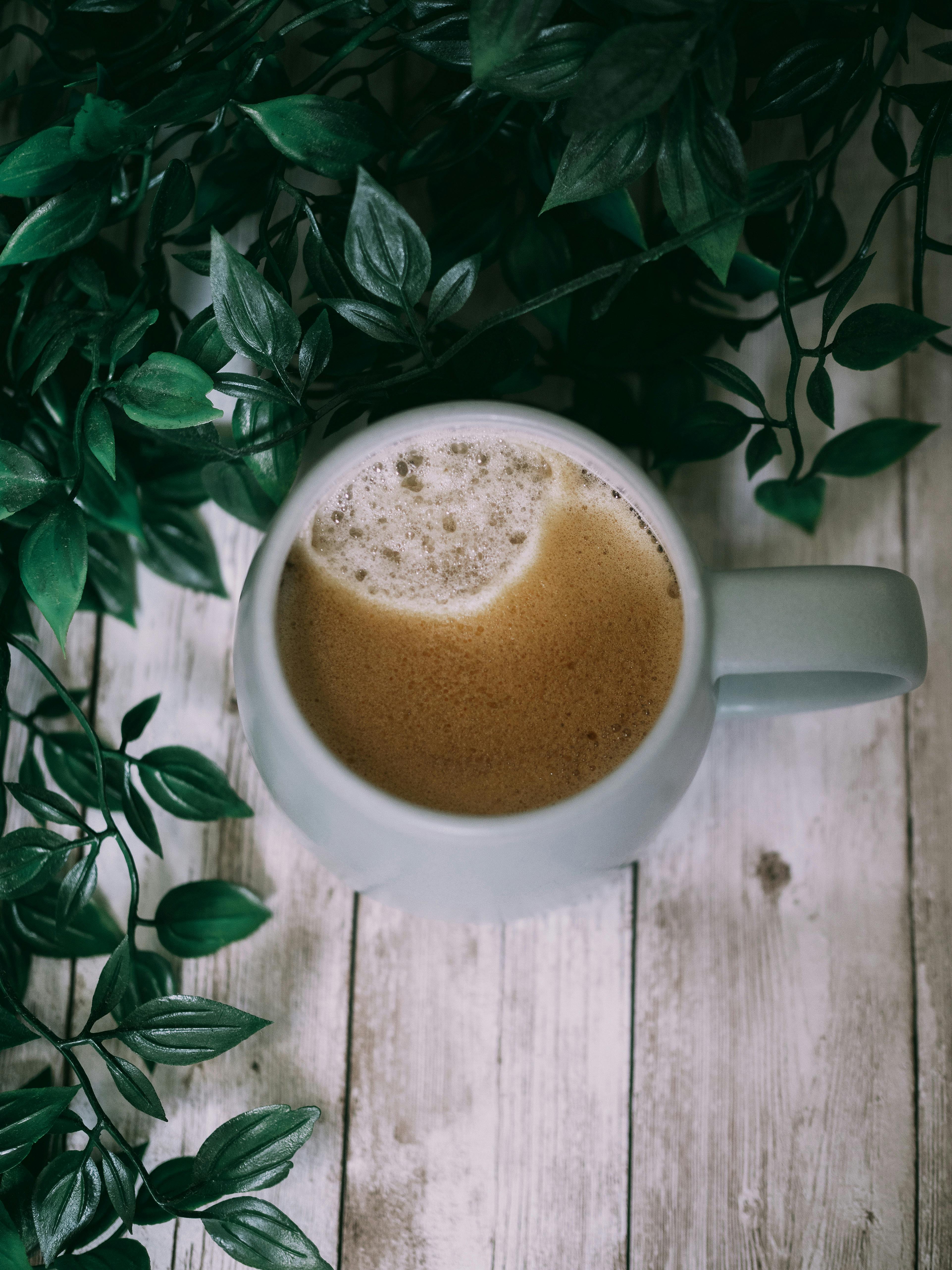 A top view of a foamy coffee mug surrounded by lush green leaves on a rustic wooden surface.