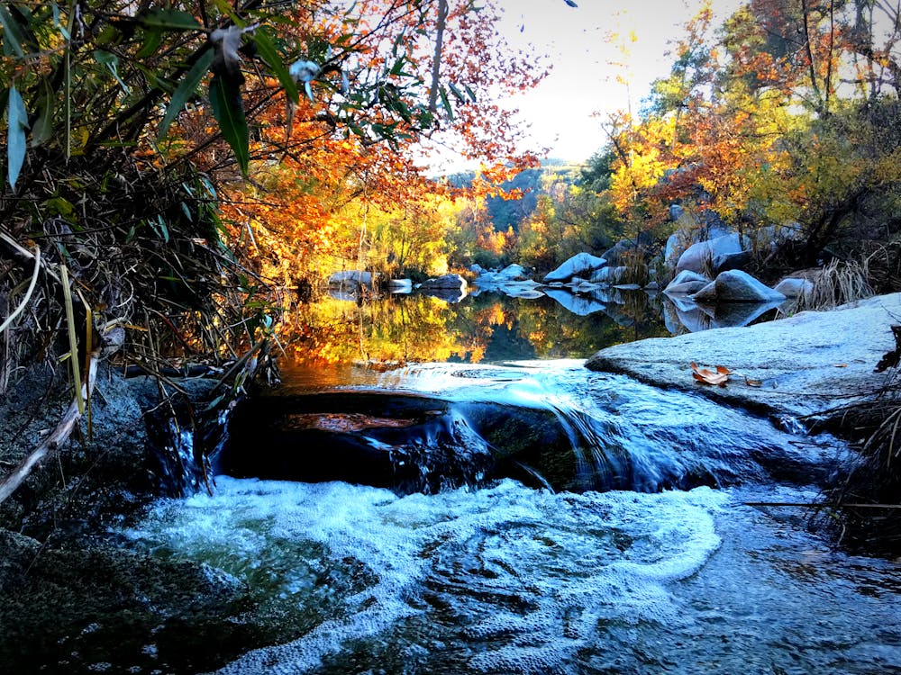 Free stock photo of nature, stream, trail