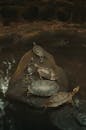 Turtles on Rock over Water