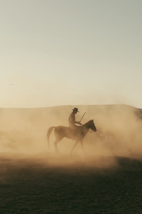 Δωρεάν στοκ φωτογραφιών με αγροτικός, άλογο, άνδρας