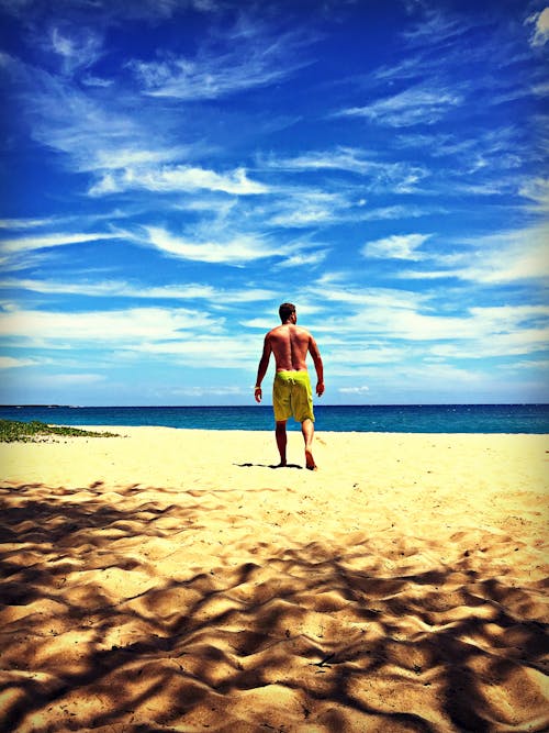 Ingyenes stockfotó Férfi, hawaii, homok témában