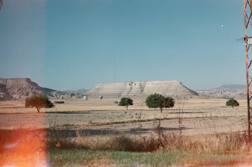 Бесплатное стоковое фото с polaroid, деревья, пастбище