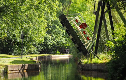 Kostenloses Stock Foto zu bäume, brücke, brücken