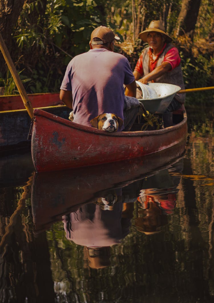 Elderly Couple With A Dog In A Gondola