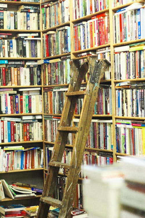 A Ladder in a Library 