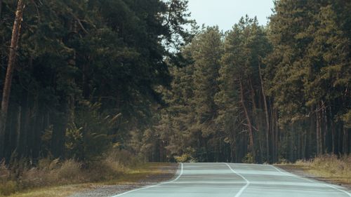 Free Tranquil view of a winding road through a dense forest in Voronezh region, Russia. Stock Photo