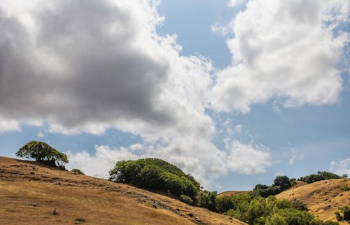 Ingyenes stockfotó dombok, fák, felhők témában