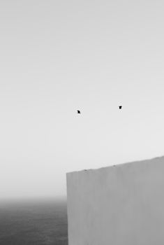 Two birds soar above a serene sea, captured in a minimalist black and white style.