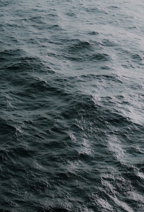 Close-up of the Sea Surface