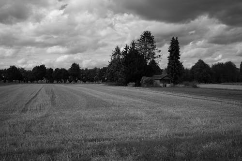 View of a Field, Trees and Rural Detached House