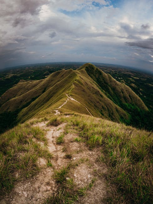 Discovering the Majesty of Mulu Discovering the Majesty of Mulu
