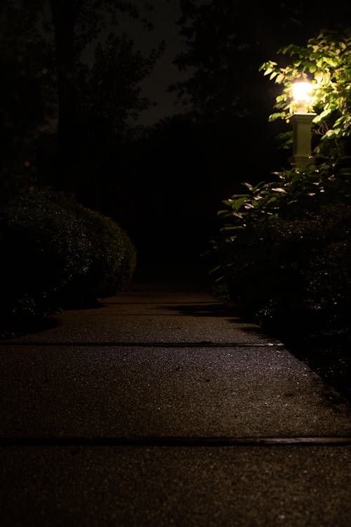 Night Sidewalk