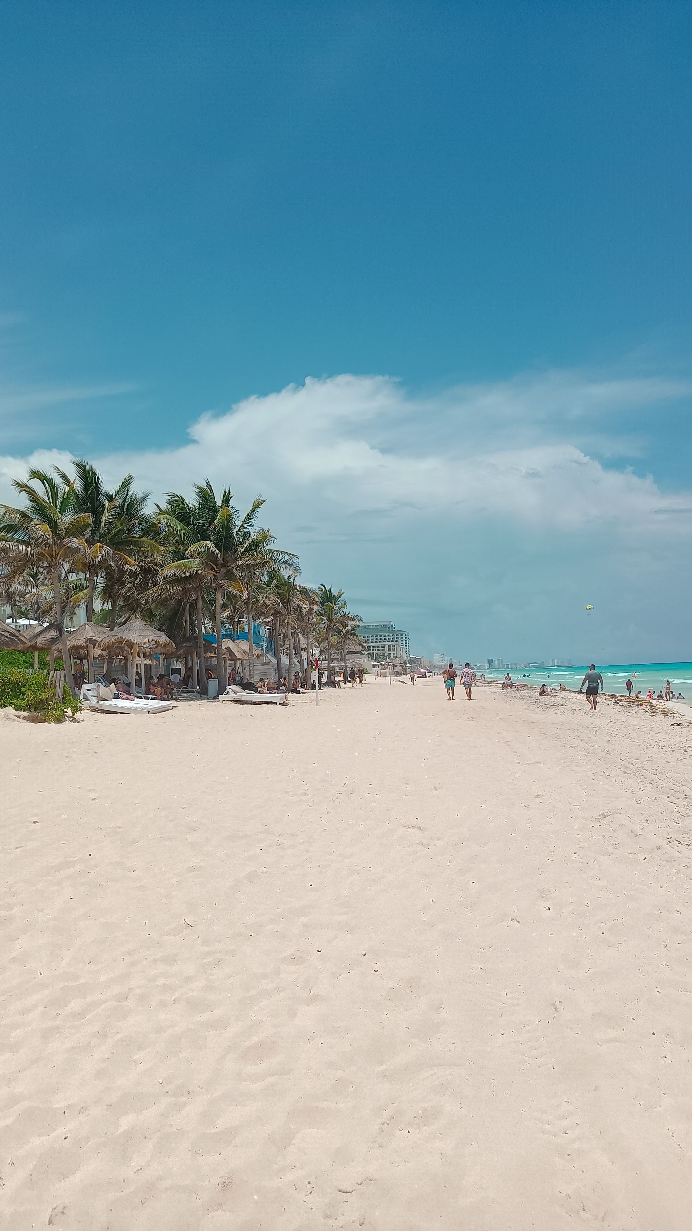 Sunny day at Cancún beach with palm trees and clear blue sky.