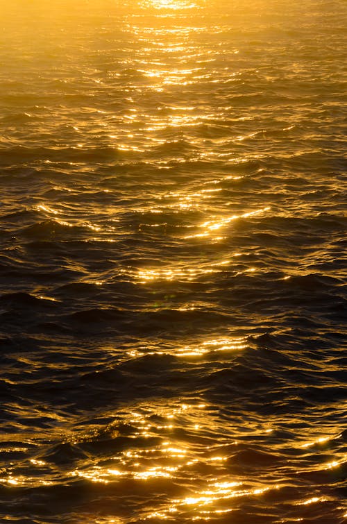 Close-up of the Sea Surface Reflecting the Sunset Light 