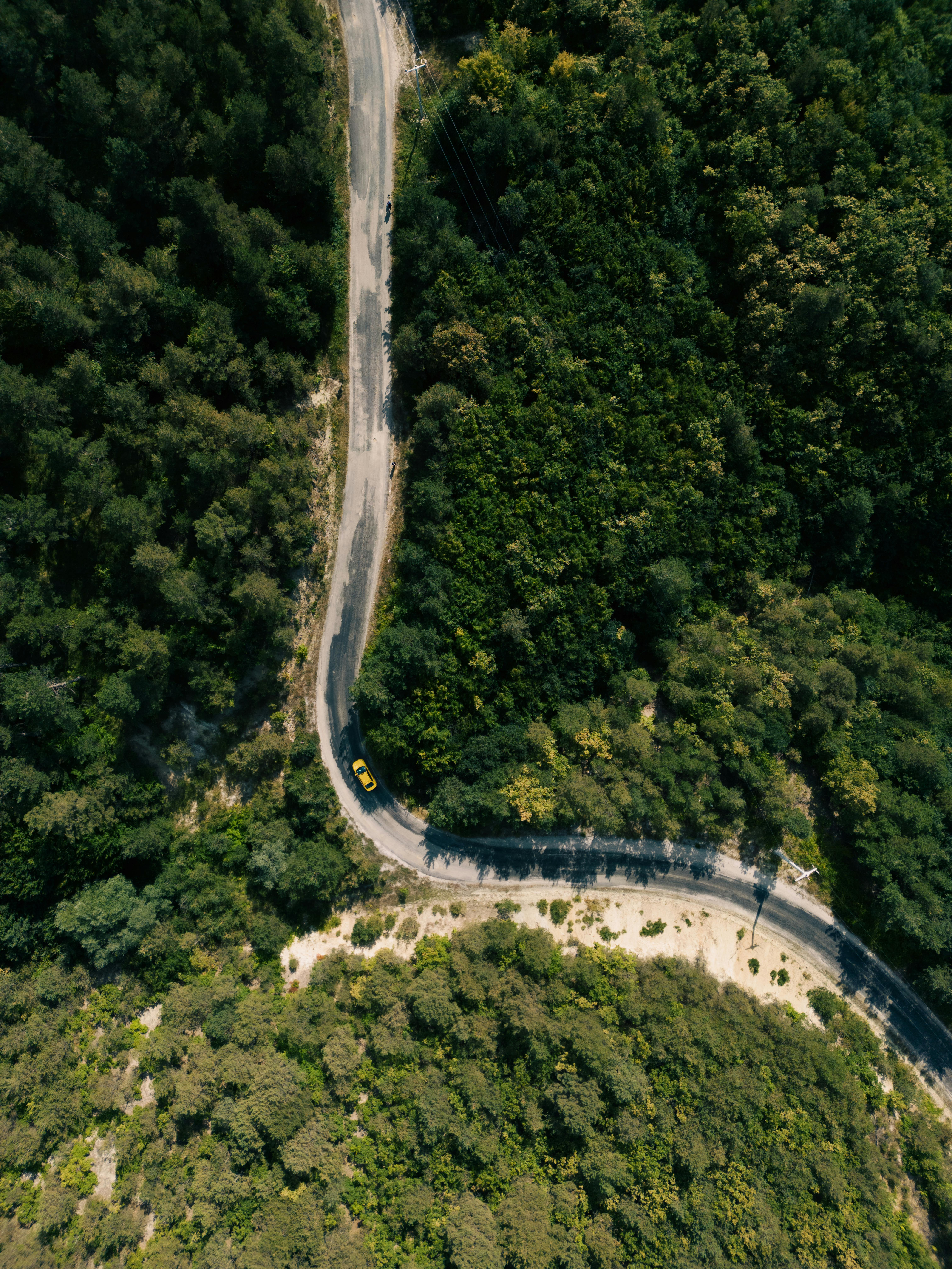 Captivating aerial view of a winding road cutting through dense forest in Samsun, Türkiye, on a sunny day.