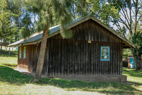 A Wooden House between Trees 