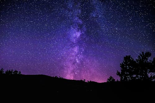 Kostenlos Kostenloses Stock Foto zu astrologie, astronomie, bäume Stock-Foto
