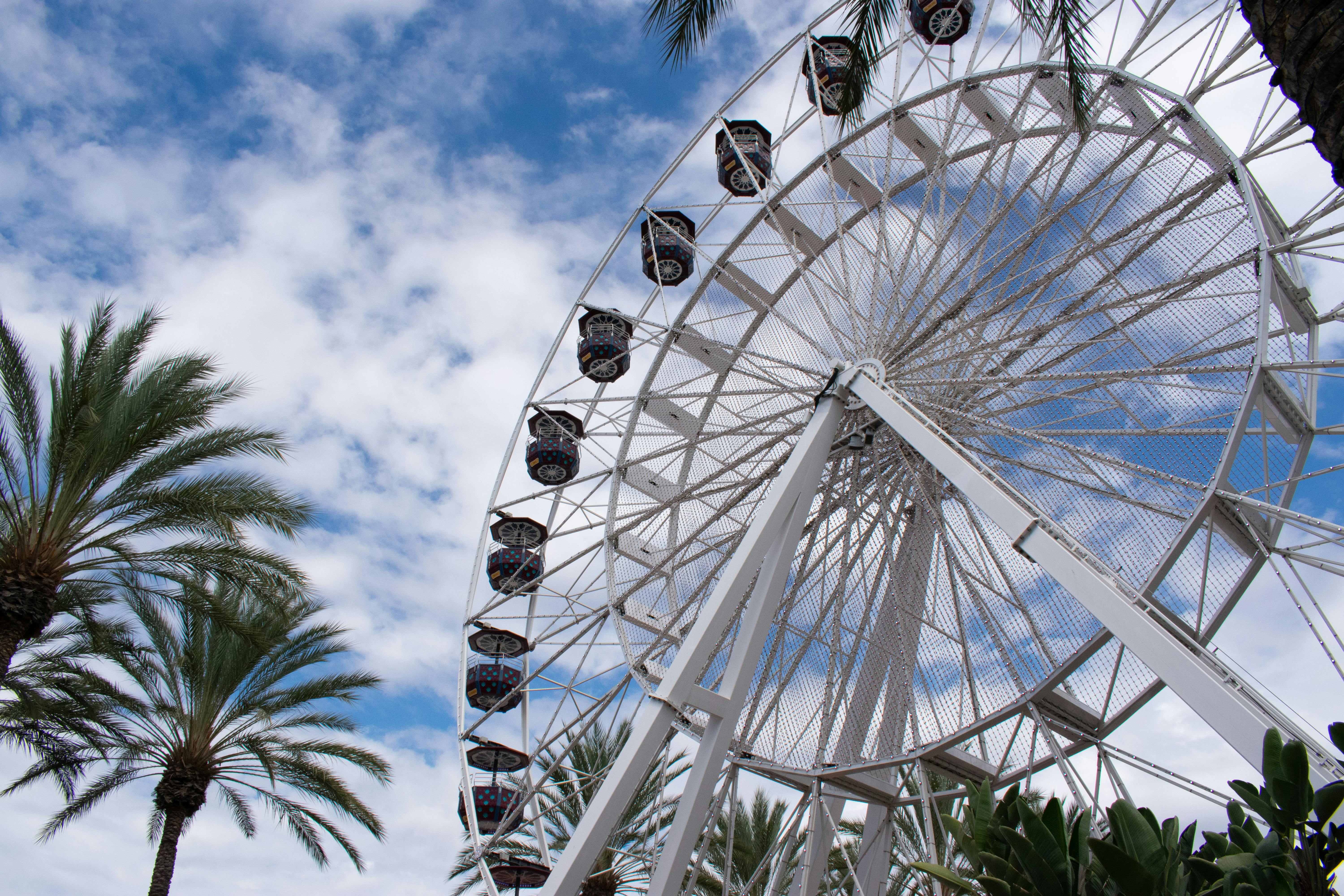 Free stock photo of ferris wheel, outdoor mall, palm tree