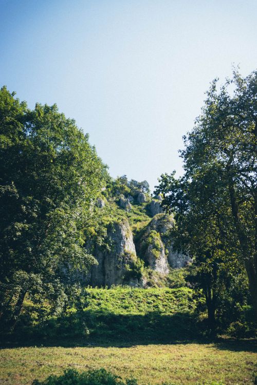 Free Explore the natural beauty of Polish Jura with lush greenery and striking limestone formations. Stock Photo