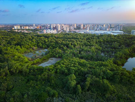 Stunning aerial view of Fortaleza cityscape bordering a lush tropical forest, captured at sunset.