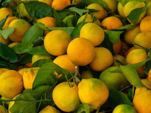 fresh tangerines at the market