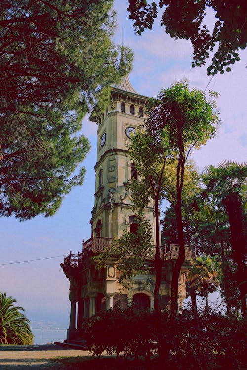 Izmit Clock Tower Among the Trees