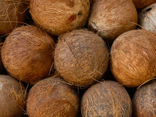 Free Close-up view of fresh brown coconuts stacked at a market, showcasing natural textures. Stock Photo