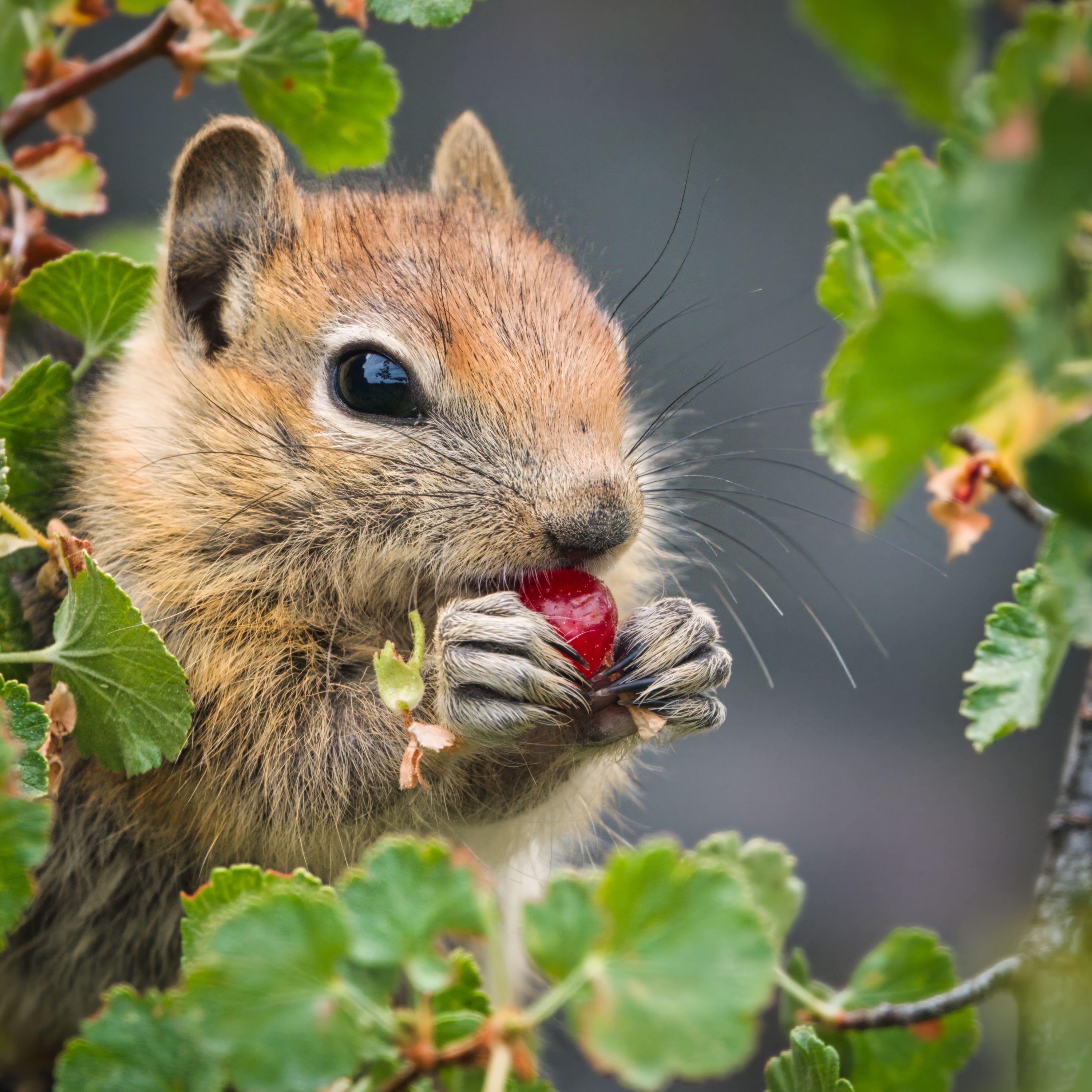 Math Eat Photos, Download The BEST Free Math Eat Stock Photos & HD Images